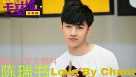 最新爆料大鲜肉视频大全,最新爆料，带你领略网络红人的魅力瞬间